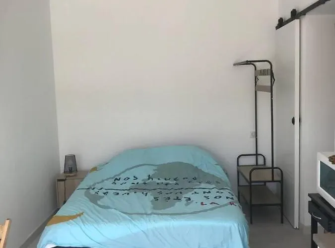 Centre Avec Jardin 아파트 *